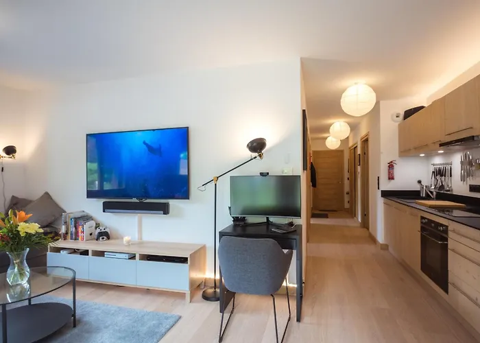 Bel 3 Etoiles Aux Praz De Chamonix, Pres Du Telepherique De La Flegere - Fr-1-343-213 Apartman Chamonix